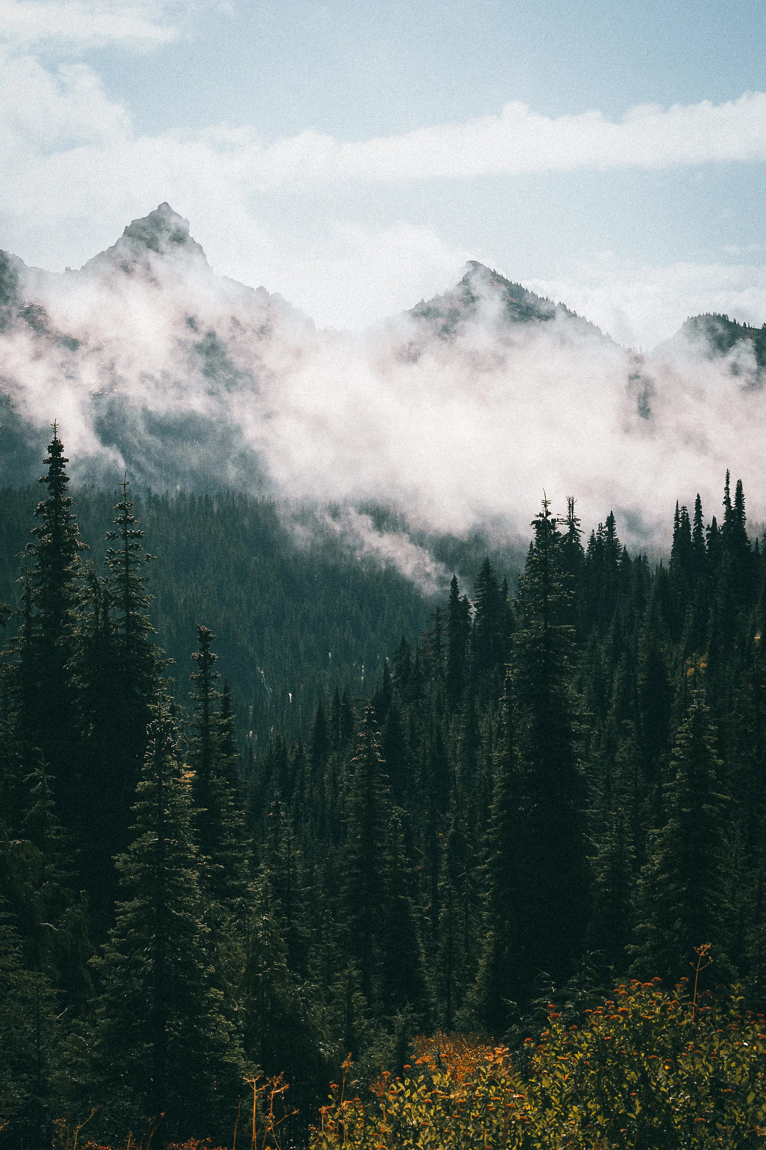 Mount Rainier: The Stillness Between Peaks Print