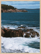 Acadia Shore