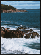 Acadia Shore