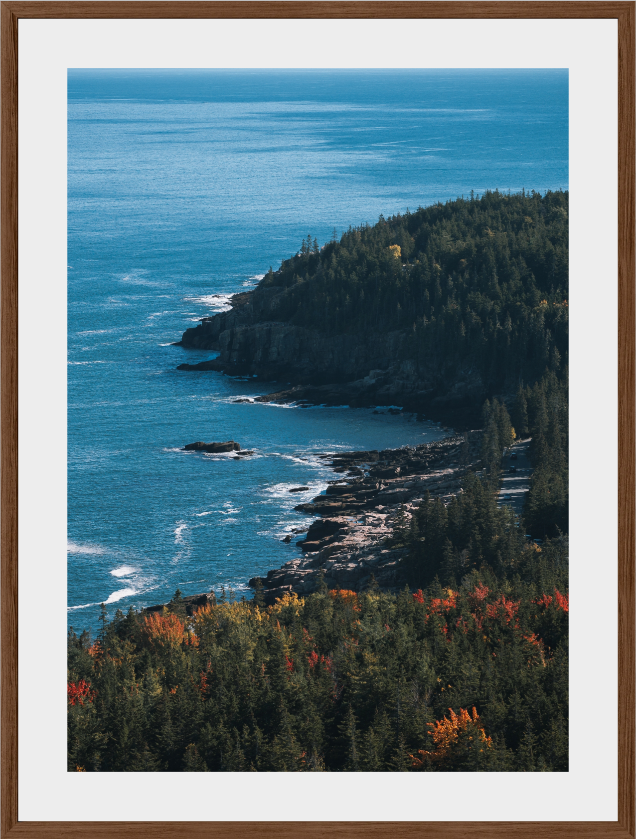 Acadia Coastal