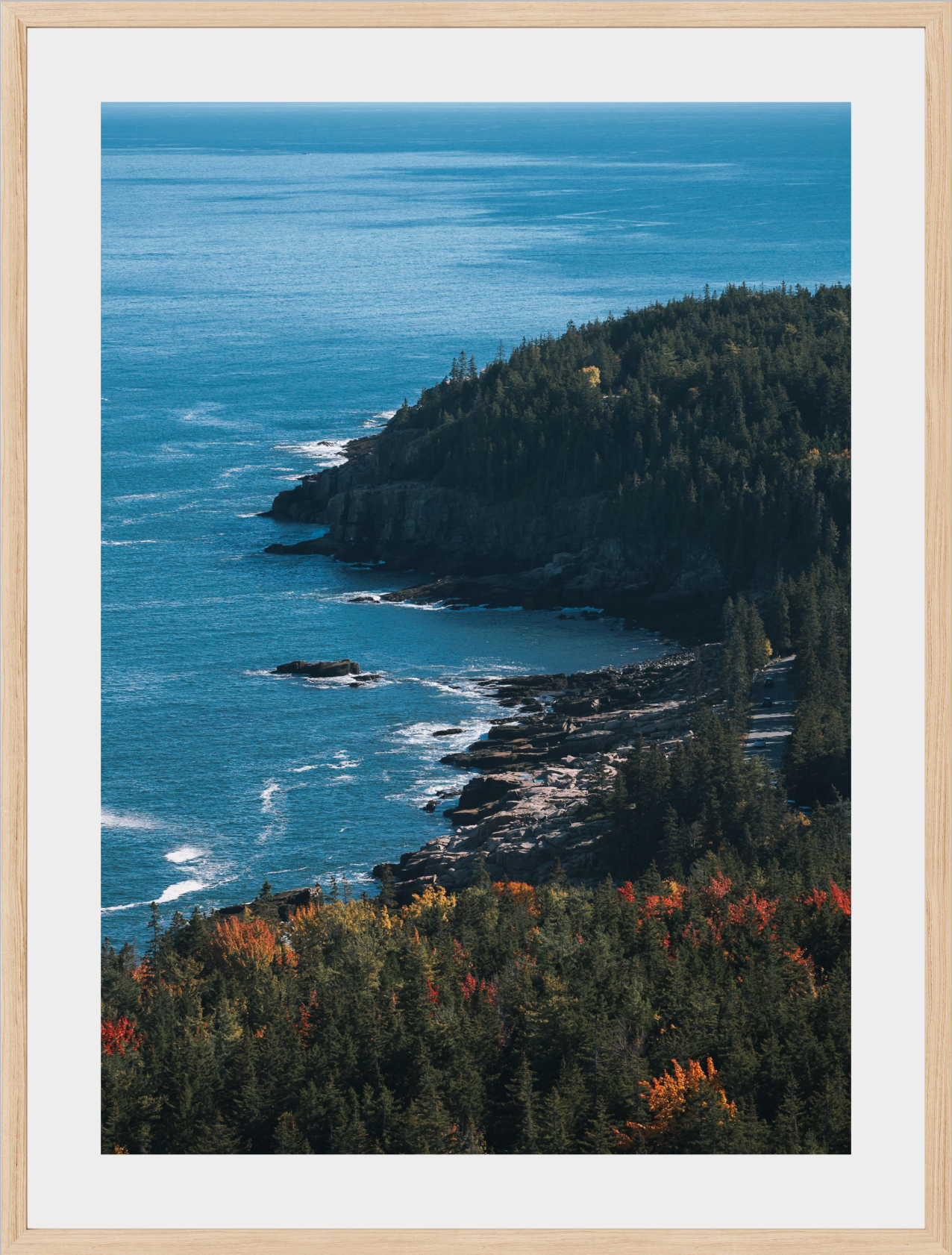 Acadia Coastal