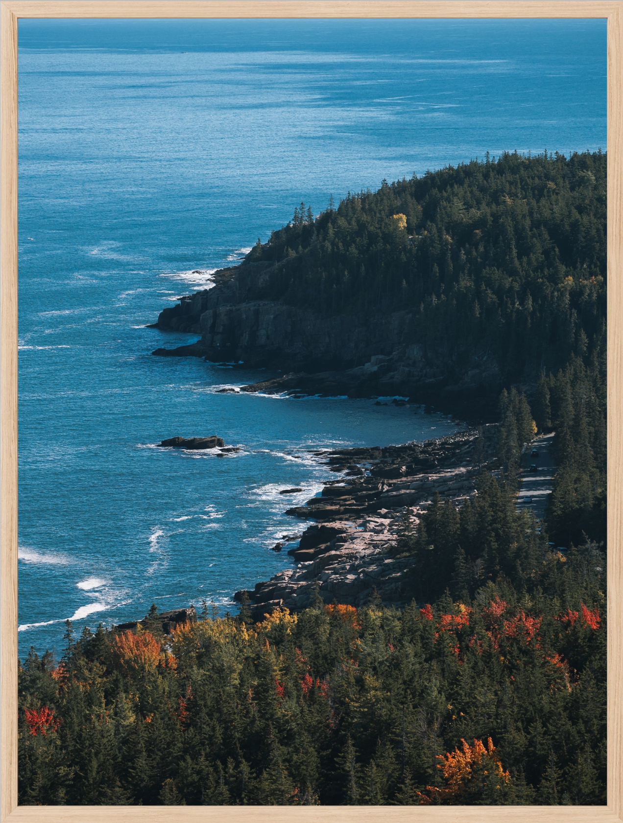 Acadia Coastal