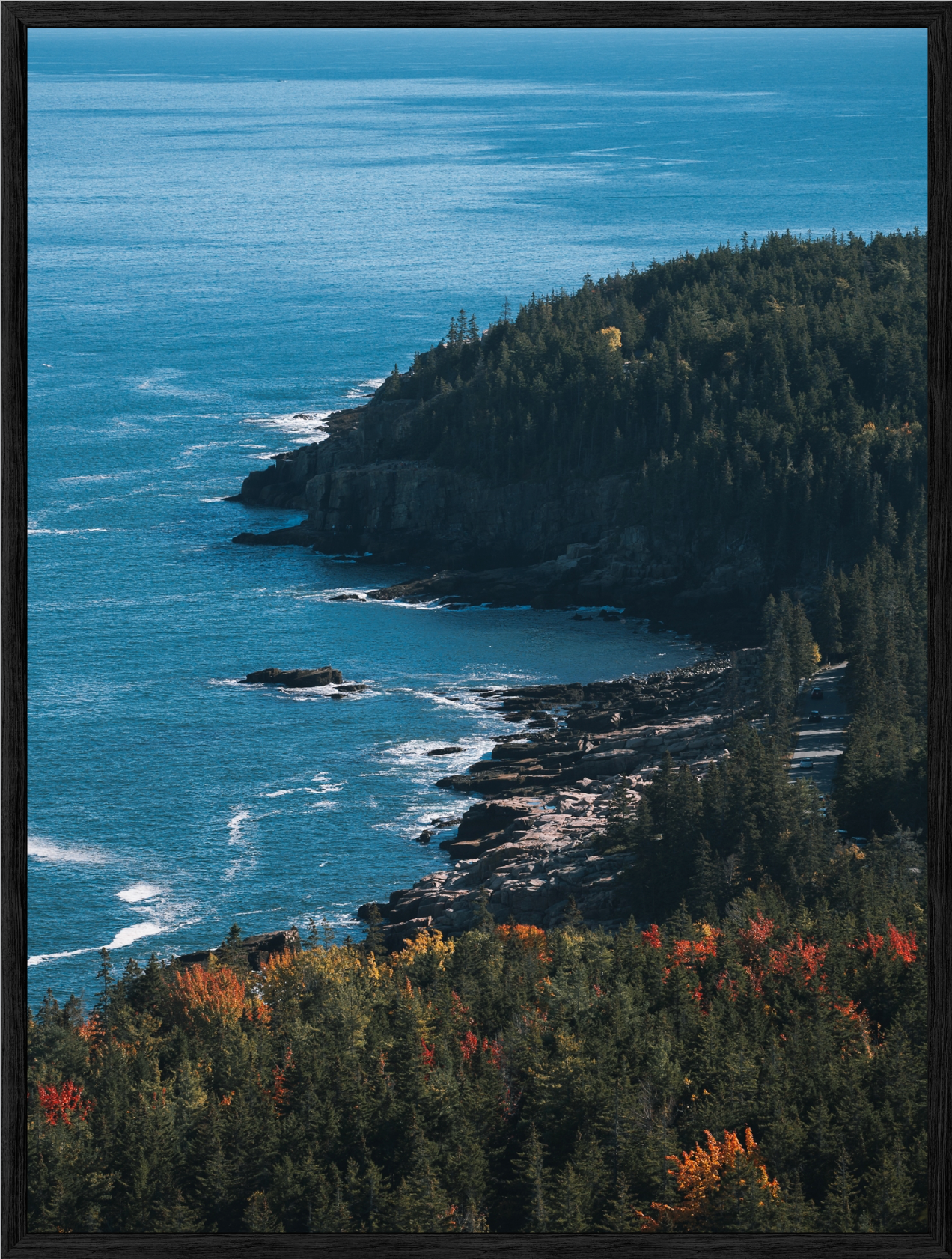 Acadia Coastal