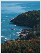 Acadia Coastal