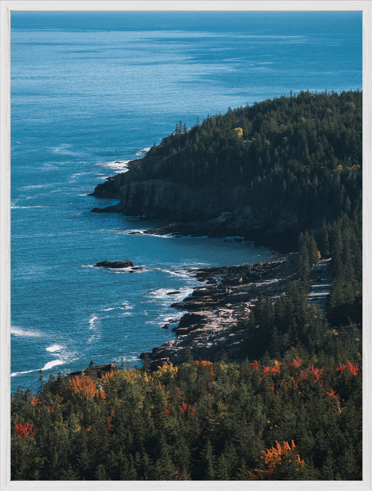 Acadia Coastal