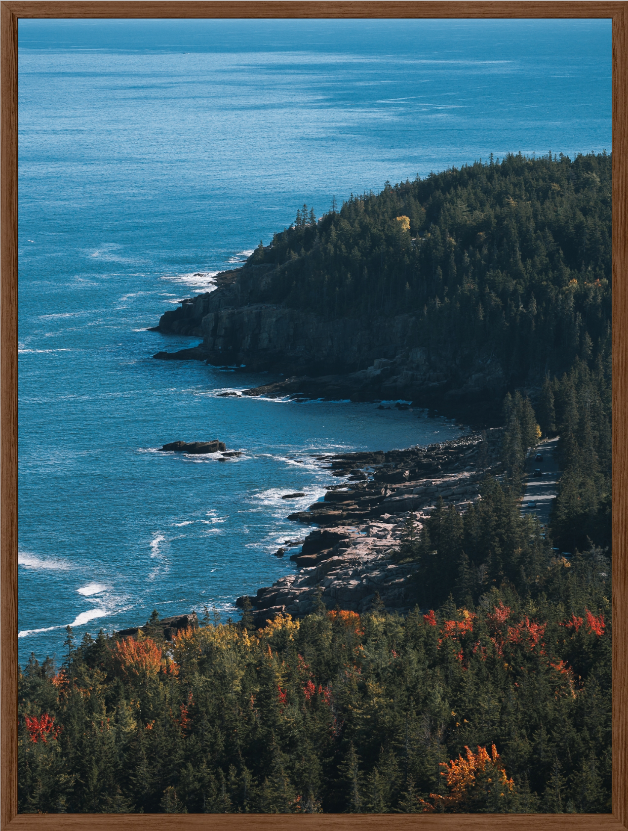 Acadia Coastal