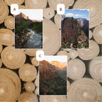 Zion National Park: May 2026