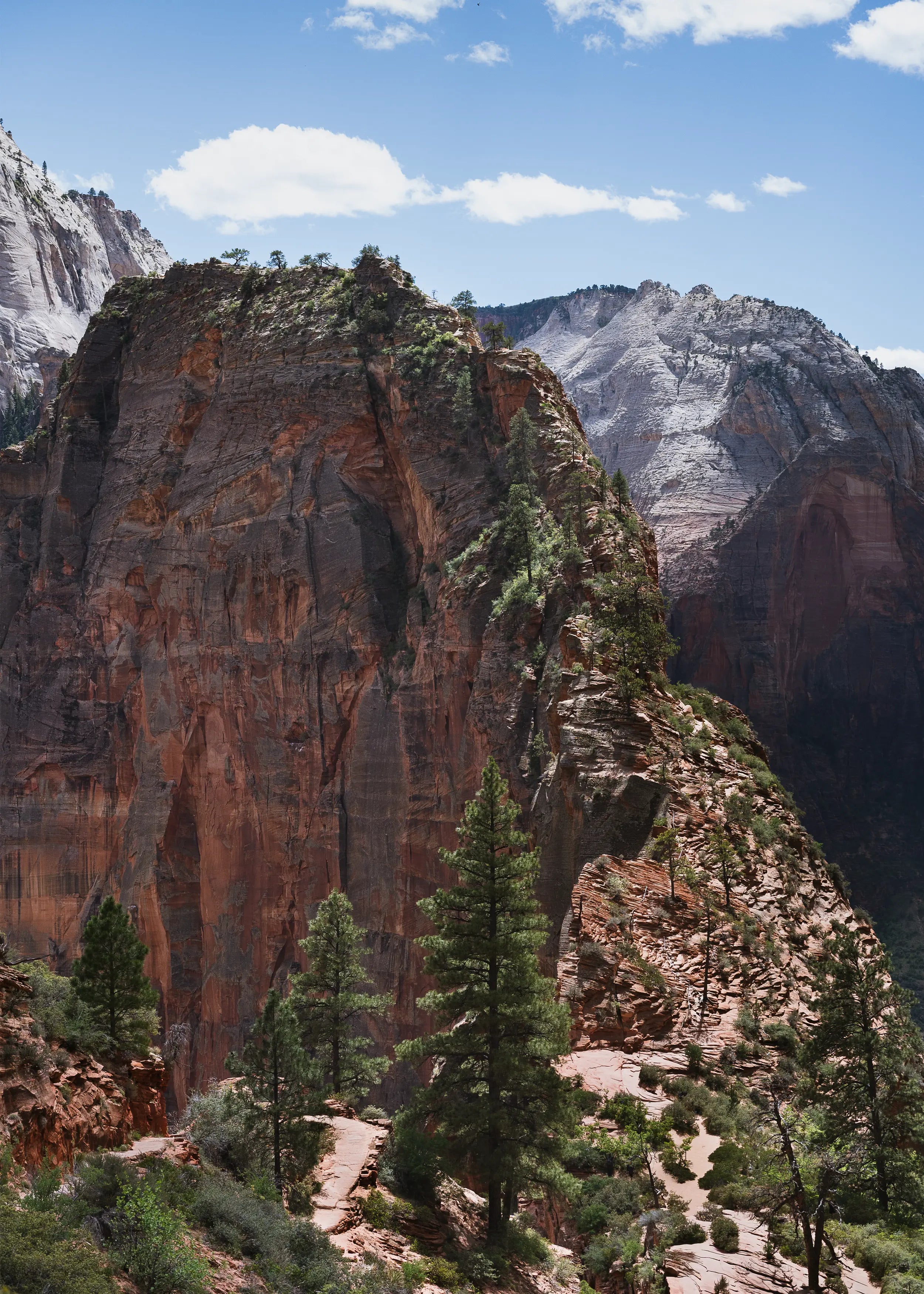 Zion: Angels Landing