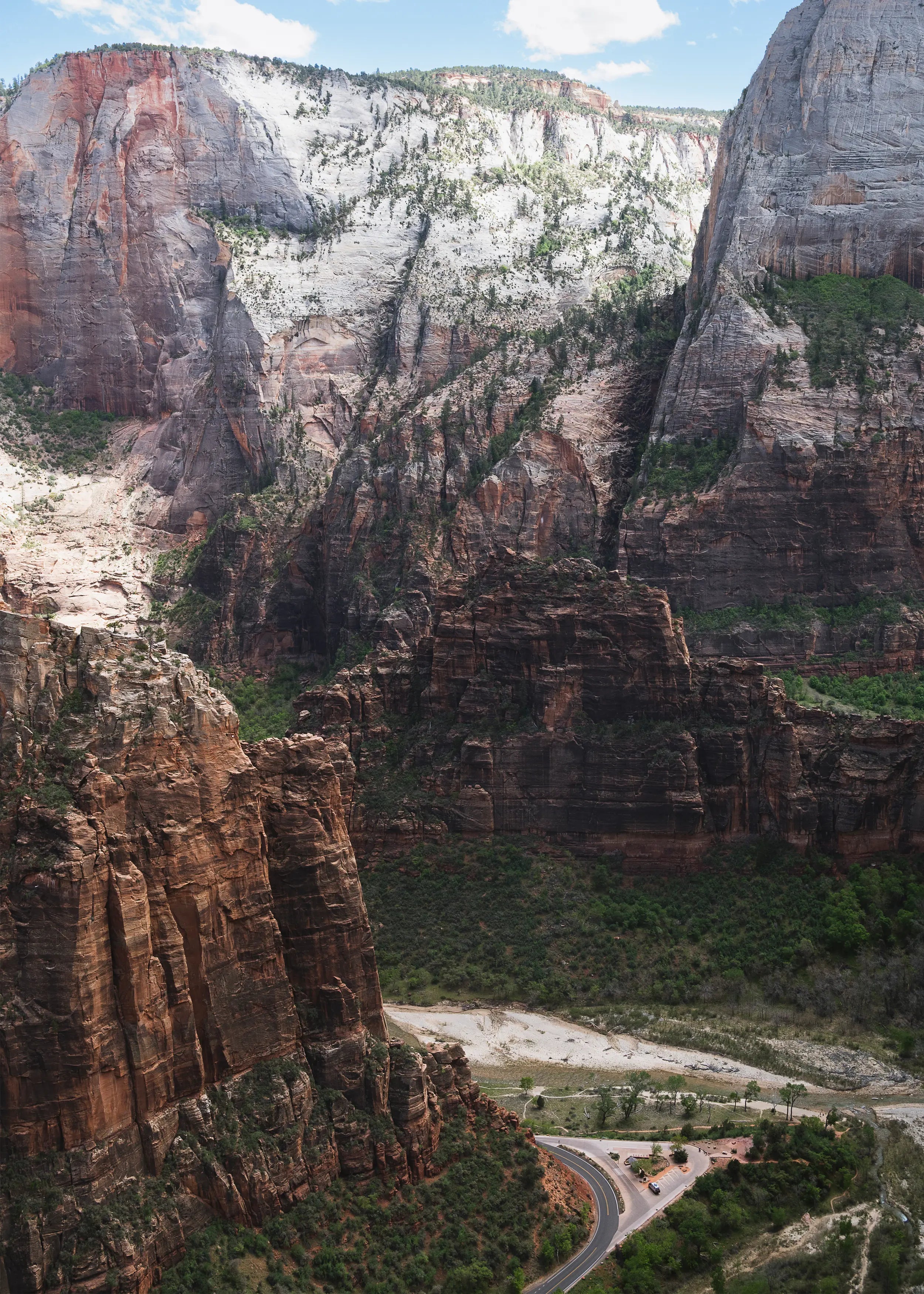 Zion: Angels View