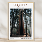Sequoia National Park Poster