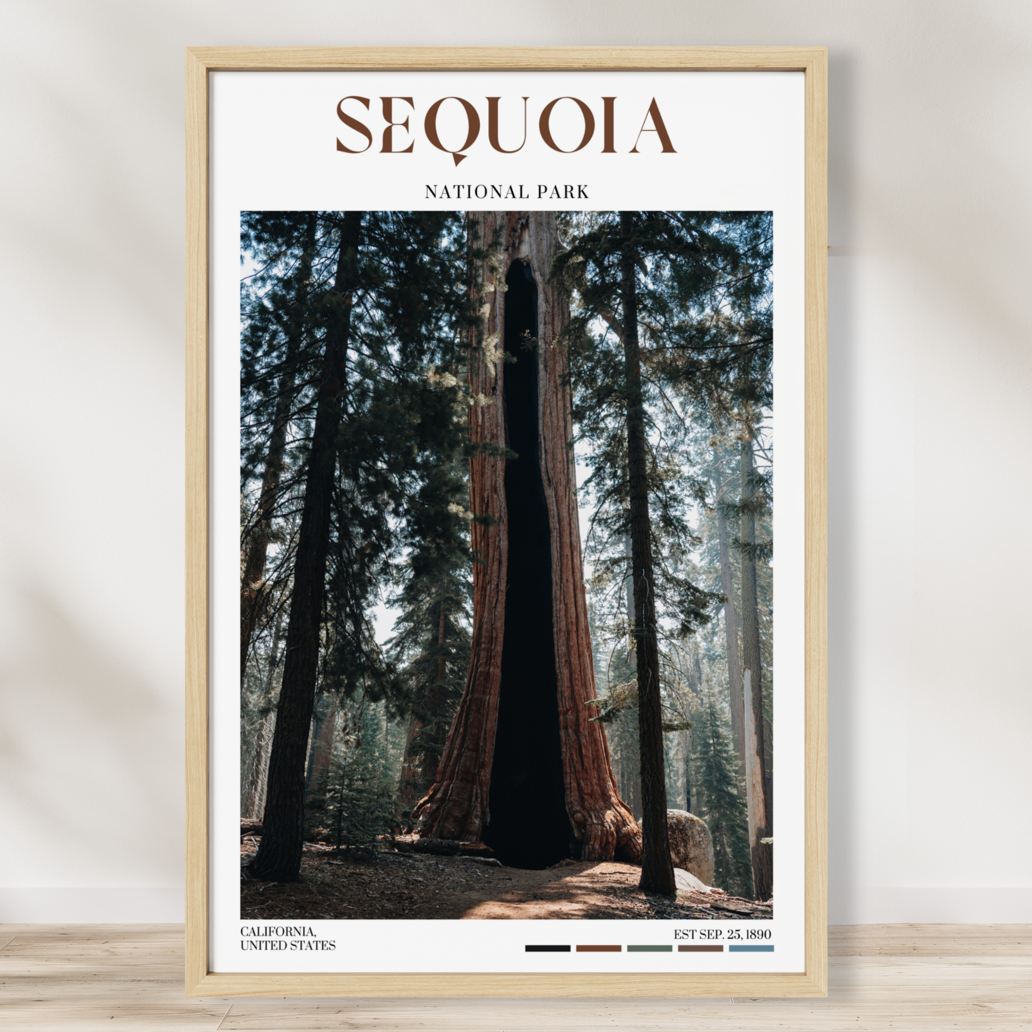 Sequoia National Park Poster