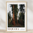 Sequoia National Park Poster