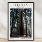 Sequoia National Park Poster