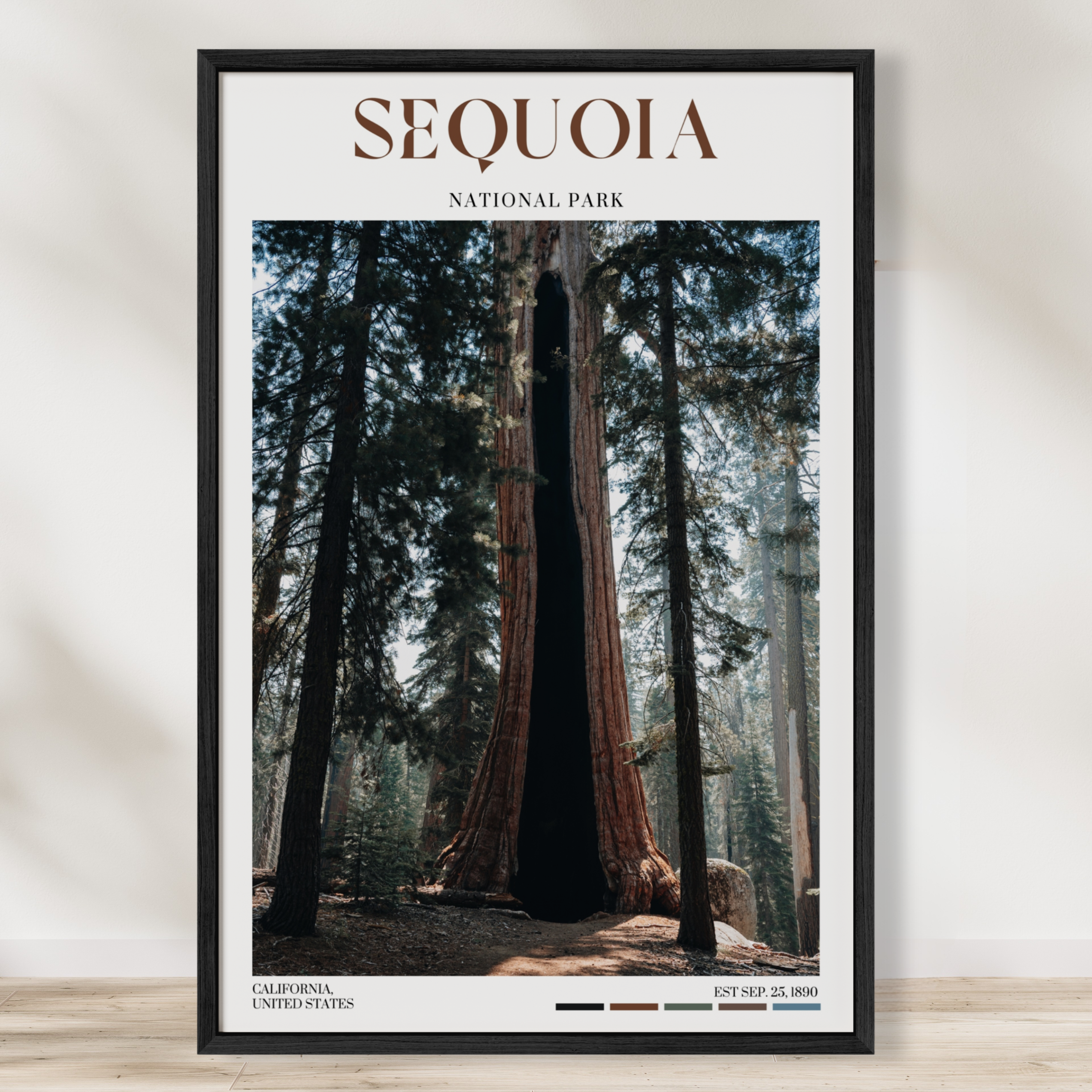 Sequoia National Park Poster