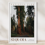 Sequoia National Park Poster