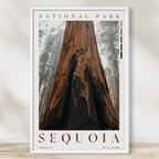 Sequoia National Park Poster