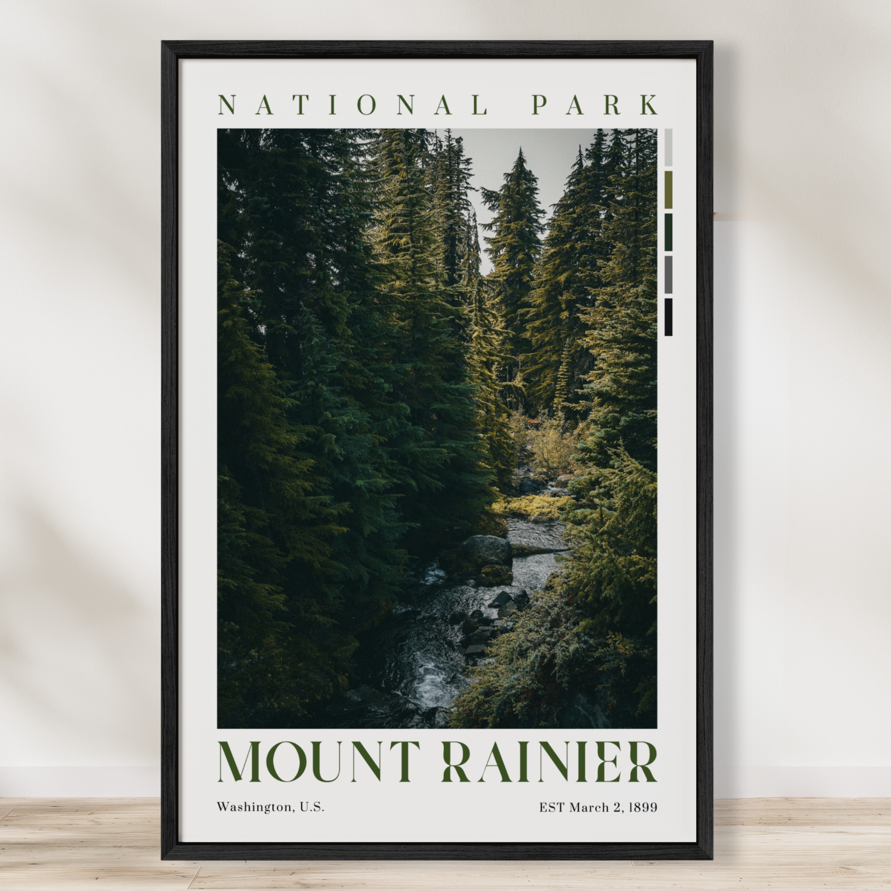 Mount Rainier National Park Poster
