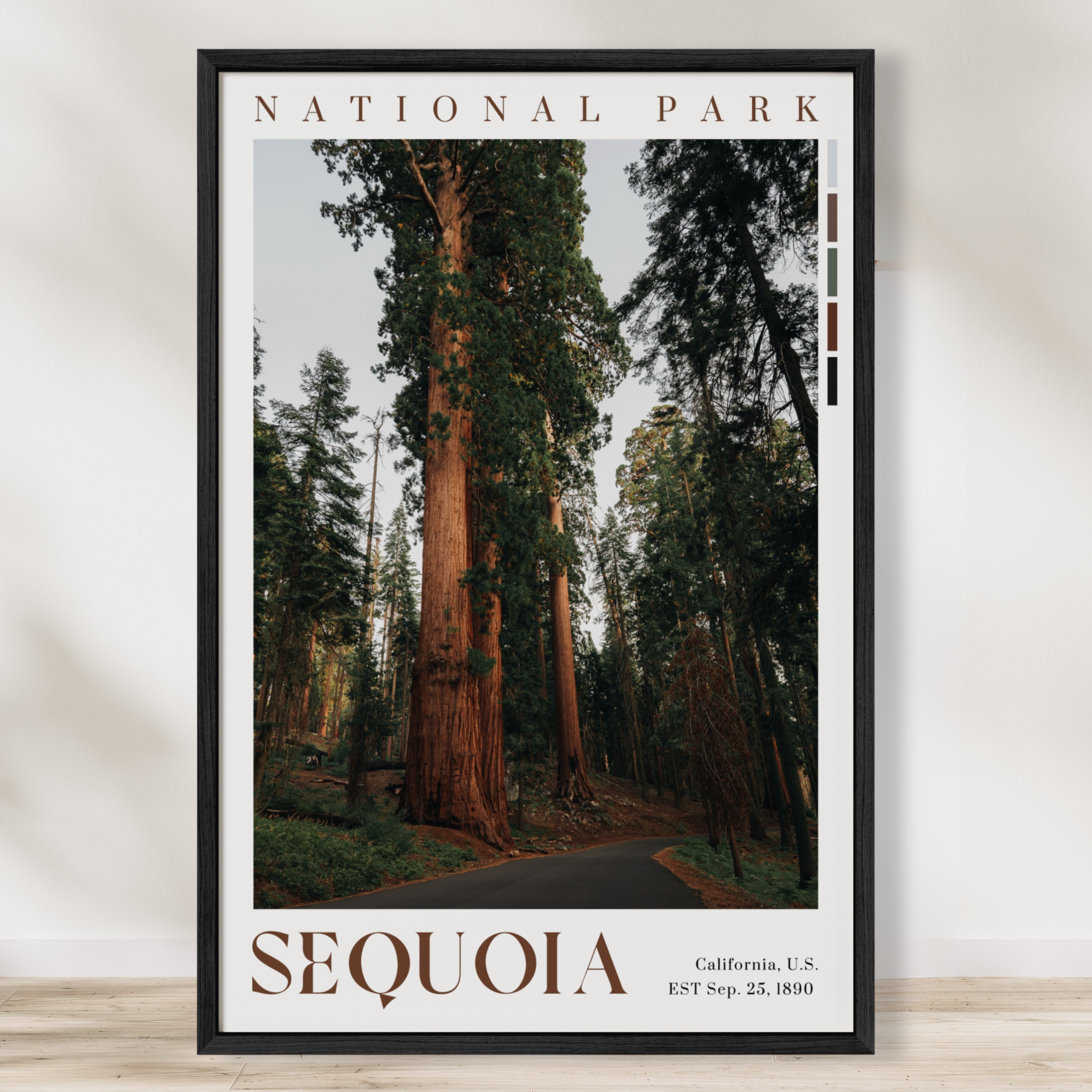 Sequoia National Park Poster
