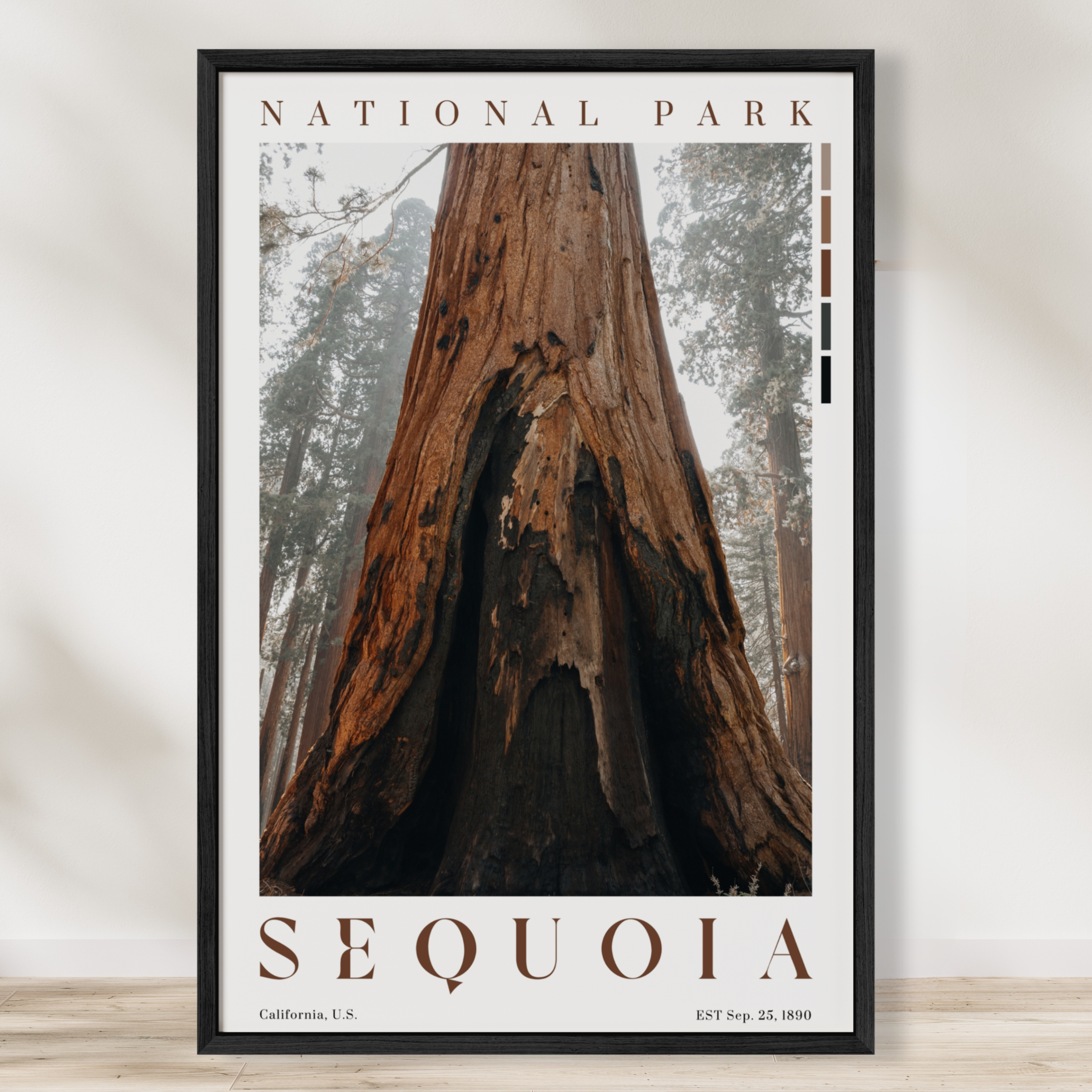 Sequoia National Park Poster