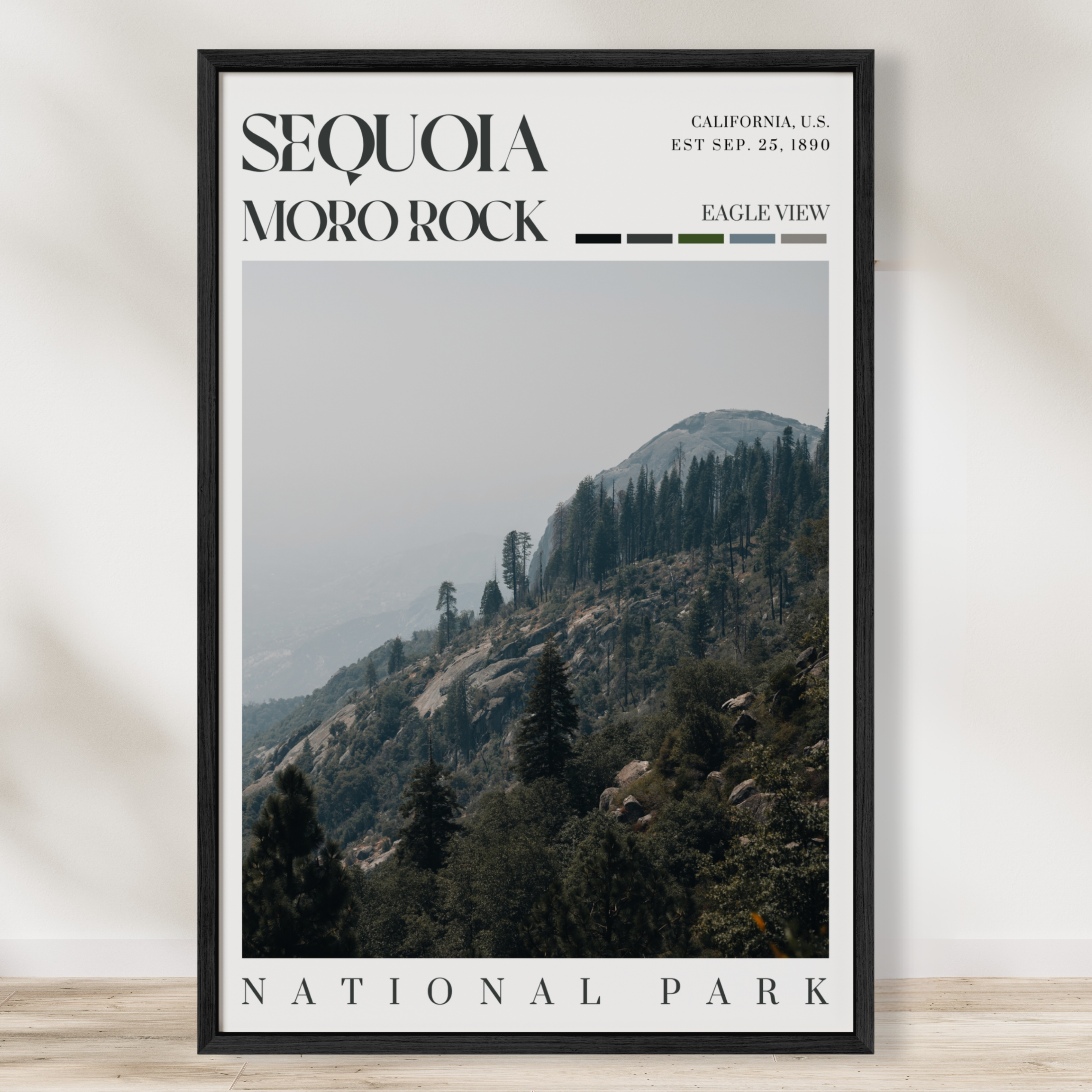 Sequoia National Park Poster