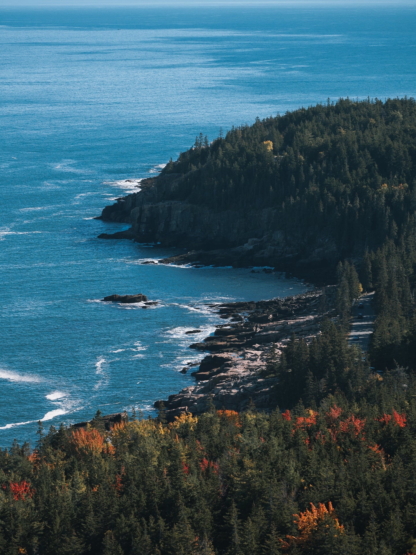 Acadia Coastal