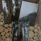 Print Club Membership